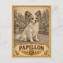 Papillon, Chien du Patrimoine Vintage