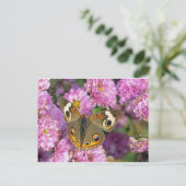 Carte Postale Papillon commun (Debout devant)