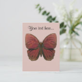 Carte Postale Papillon Coq Rouge (Debout devant)
