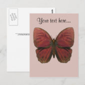 Carte Postale Papillon Coq Rouge (Devant / Derrière)