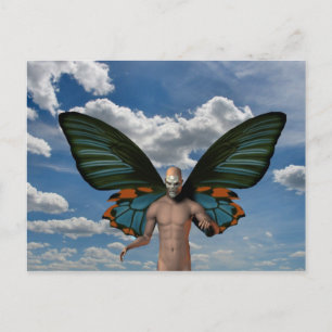 Carte Postale Papillon crânien