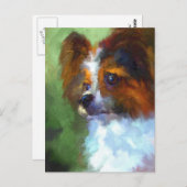 Carte postale Papillon curieux (Devant / Derrière)