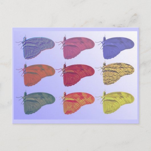 Carte postale papillon d'Amazonie (Devant)