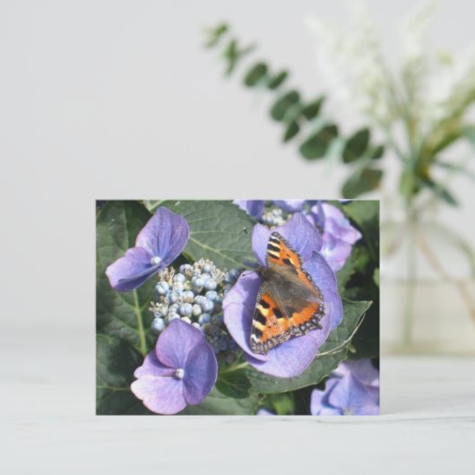 Carte Postale Papillon dame peint 1 (Debout devant)