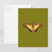 Carte Postale Papillon dansant (Devant / Derrière)