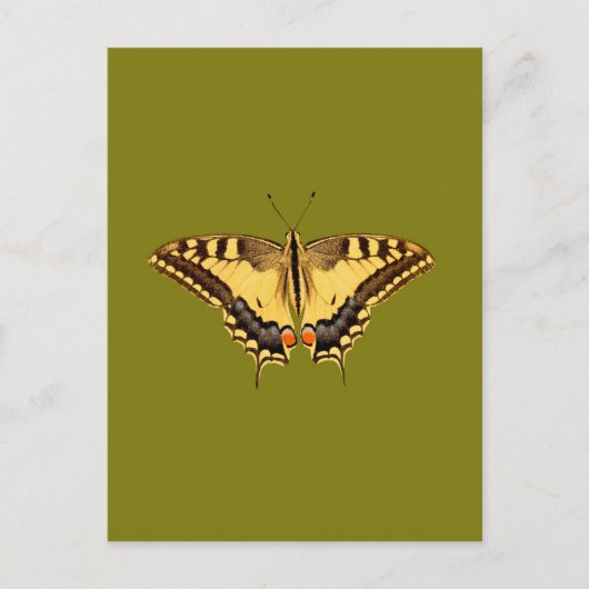 Carte Postale Papillon dansant (Devant)