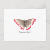 Carte Postale Papillon d'aquarelle Vintage Monarch (Devant)