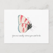 Carte Postale Papillon d'aquarelle Vintage Monarch (Devant)