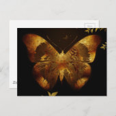 Carte Postale Papillon de fer (Devant / Derrière)