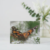 Carte Postale Papillon de la Dame peinte (Debout devant)