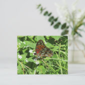 Carte postale Papillon de la Dame peinte (Debout devant)