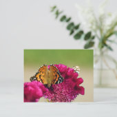 Carte Postale Papillon de la Dame peinte (Debout devant)
