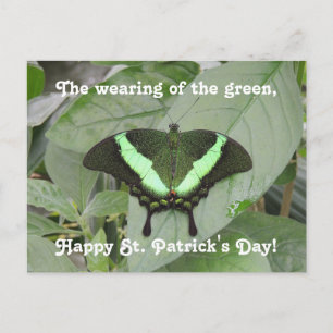 Carte Postale Papillon de la Saint-Patrick