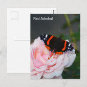Carte Postale Papillon de l'amiral rouge (Devant / Derrière)
