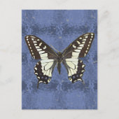 Carte Postale Papillon de l'Oregon Swallowtail (Devant)