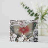 Carte Postale Papillon de neige (Debout devant)