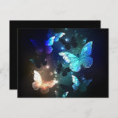 Carte Postale Papillon de nuit (Devant / Derrière)