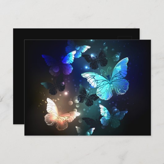 Carte Postale Papillon de nuit (Devant / Derrière)