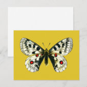 Carte Postale papillon de Parnassius apollo (Devant / Derrière)