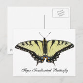 Carte Postale Papillon de queue de tigre (Devant / Derrière)
