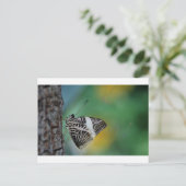 Carte Postale Papillon de tigre noir et blanc (Debout devant)