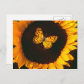 Carte Postale Papillon de tournesol (Devant / Derrière)
