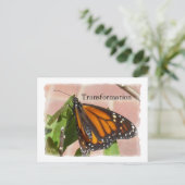 Carte Postale Papillon de transformation (Debout devant)