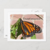 Carte Postale Papillon de transformation (Devant / Derrière)