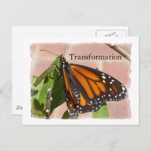 Carte Postale Papillon de transformation (Devant / Derrière)