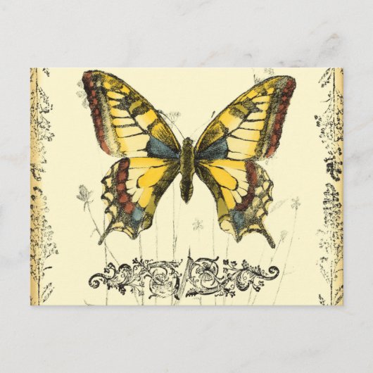 Carte Postale Papillon décoratif avec Fleur sauvage (Devant)