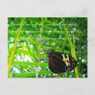 Carte postale Papillon / Devis