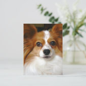Carte postale Papillon Dog (Debout devant)