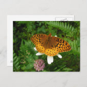 Carte Postale Papillon d'or (Devant / Derrière)