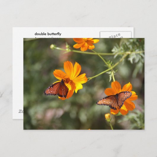 Carte Postale Papillon double (Devant / Derrière)