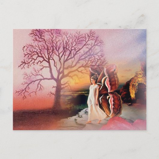 Carte postale Papillon Dreams (Devant)