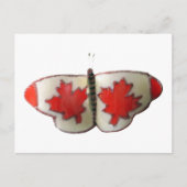 Carte Postale Papillon du Canada (Devant)