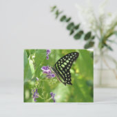 Carte postale Papillon du jardin (Debout devant)