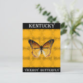 Carte Postale Papillon du Kentucky (Debout devant)