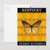 Carte Postale Papillon du Kentucky (Devant / Derrière)
