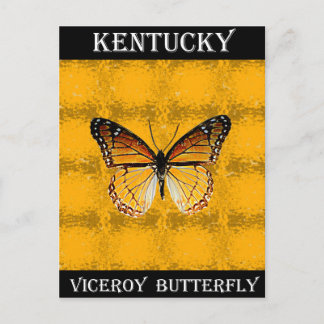 Carte Postale Papillon du Kentucky