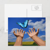 Carte postale Papillon écossais gratuit (Devant / Derrière)