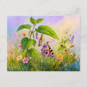 Carte Postale Papillon émergeant de sa chrysalide sur des orties