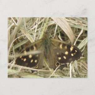 Carte postale Papillon en bois moucheté