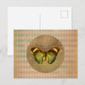 Carte Postale Papillon enchâssé vintage (Devant / Derrière)