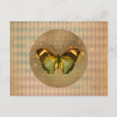 Carte Postale Papillon enchâssé vintage (Devant)