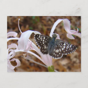Carte Postale Papillon et fleur dansante