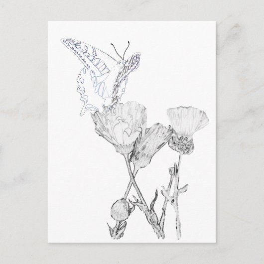 Carte postale - Papillon et fleurs à colorier (Devant)