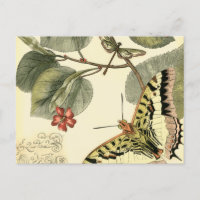 Papillon et libellule à fleurs rouges