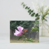 Carte Postale Papillon et Rose de Sharon (Debout devant)