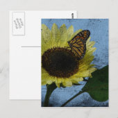 Carte Postale Papillon et tournesol (Devant / Derrière)